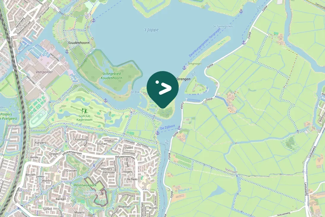 Spotted Ring-necked Pheasant