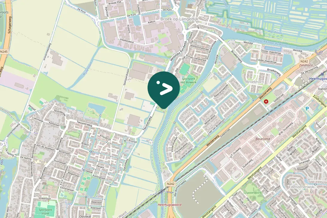 Spotted Ring-necked Duck