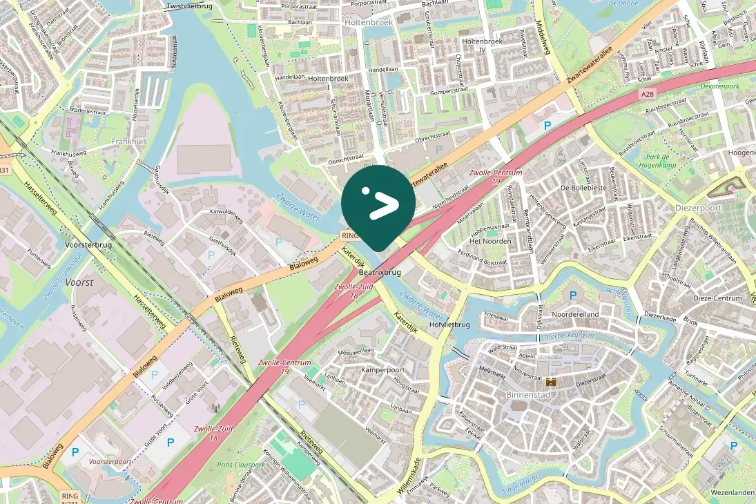 Spotted Canada Goose