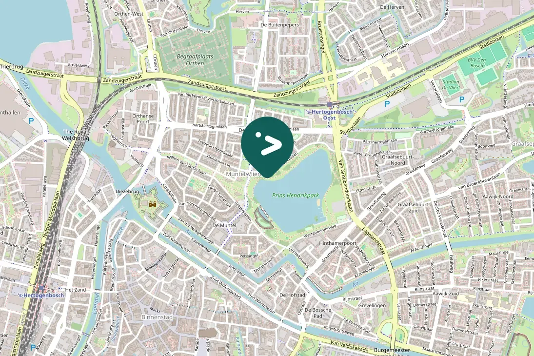 Spotted Eurasian Moorhen