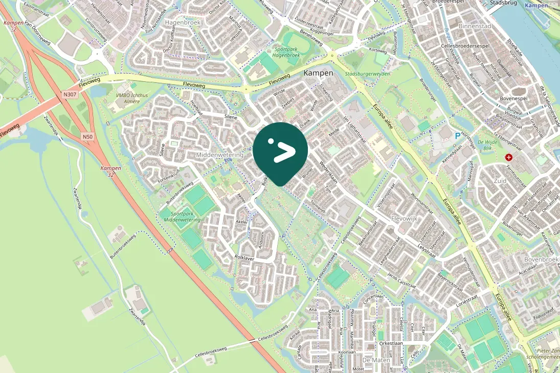 Spotted Red-crested Pochard