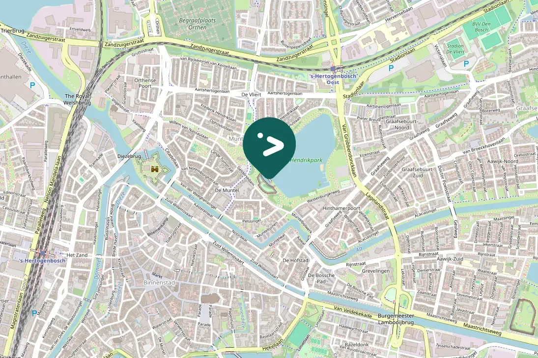 Spotted Black-headed Gull