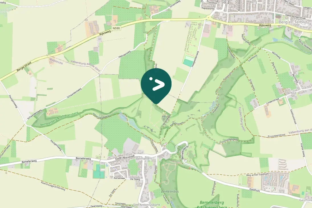 Spotted Great Spotted Woodpecker