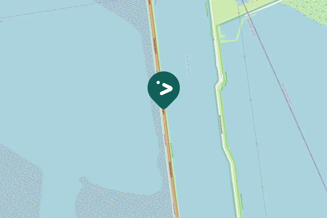 Spotted Common Buzzard