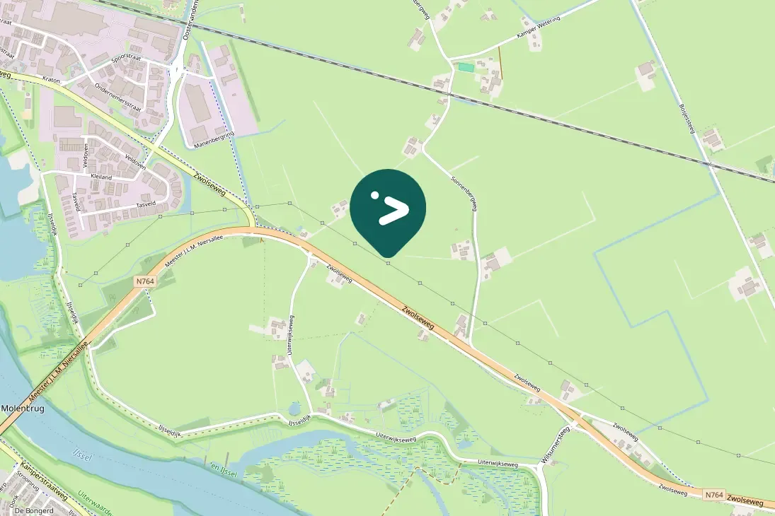 Spotted Eurasian Oystercatcher