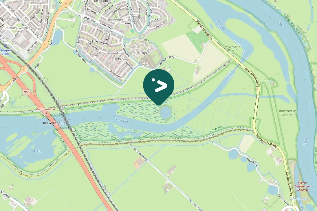 Spotted European Goldfinch