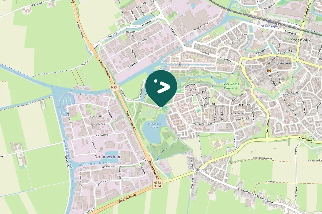 Spotted Eurasian Coot