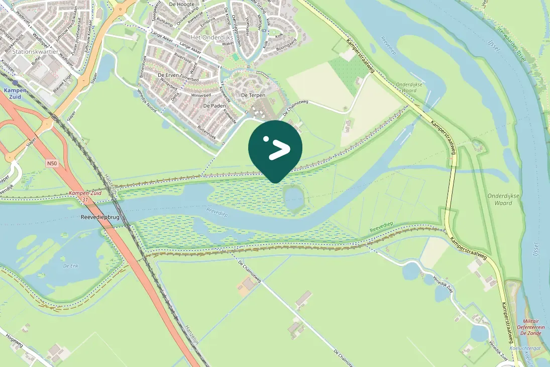 Spotted Common Snipe