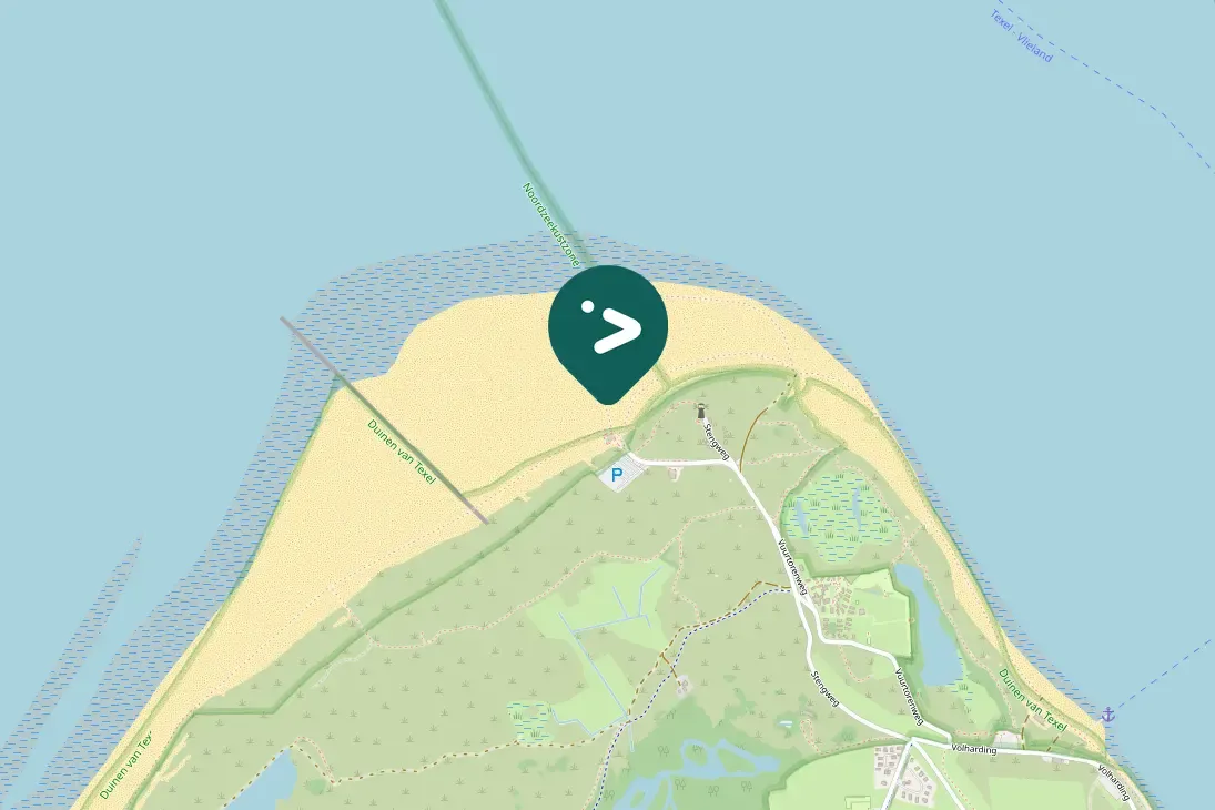 Spotted Common Chiffchaff