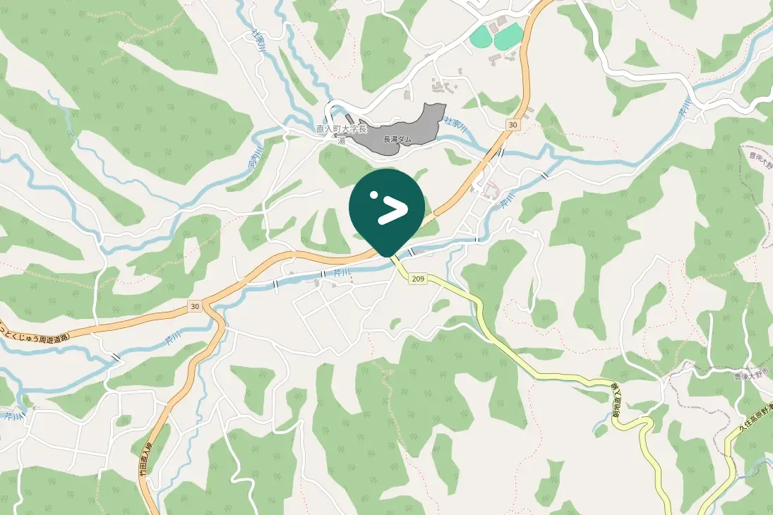 Spotted Great Cormorant