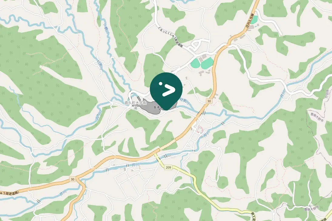 Spotted Eastern Spot-billed Duck