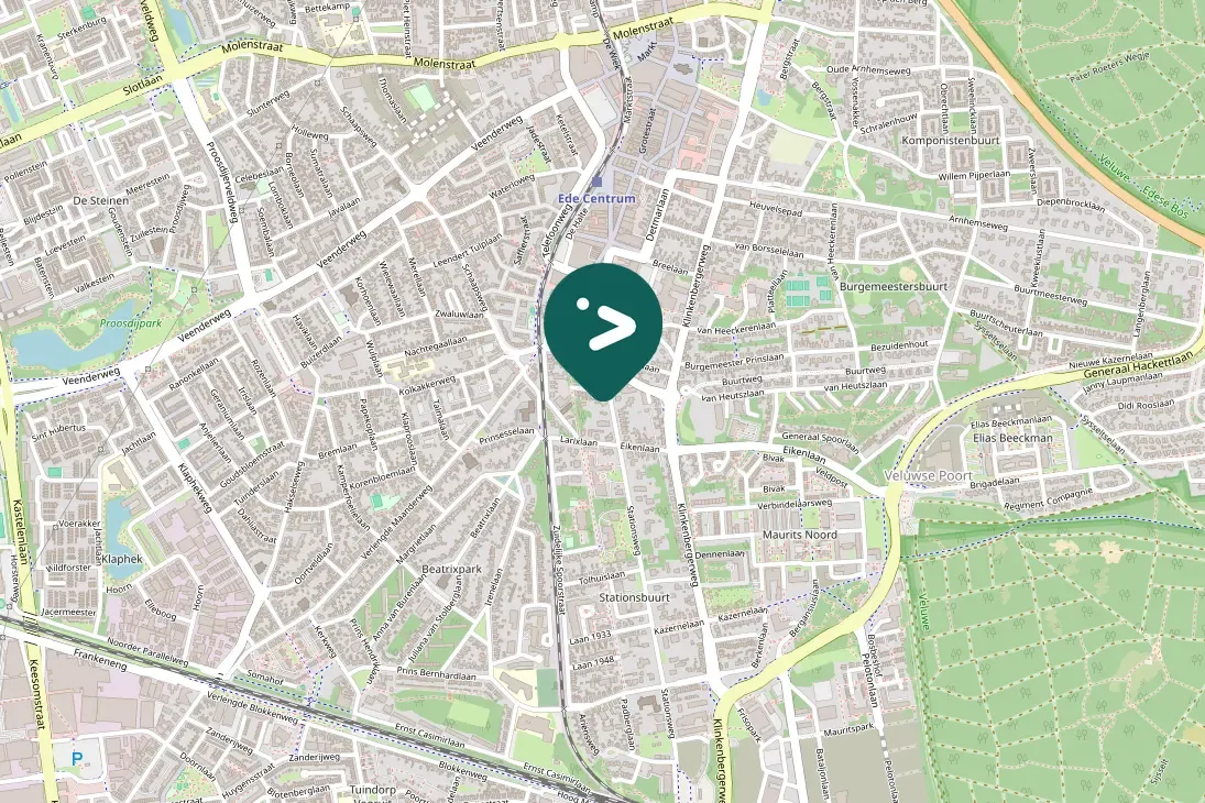 Spotted Carrion Crow