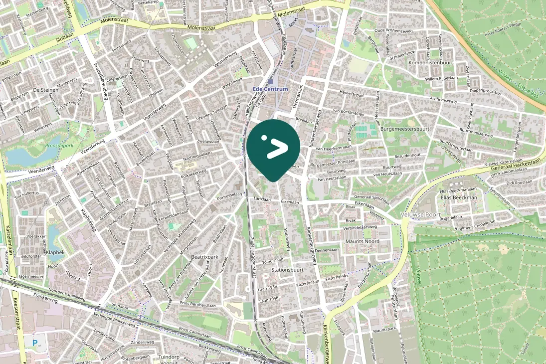 Spotted Eurasian Jackdaw