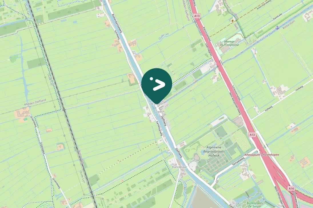 Spotted Great Cormorant