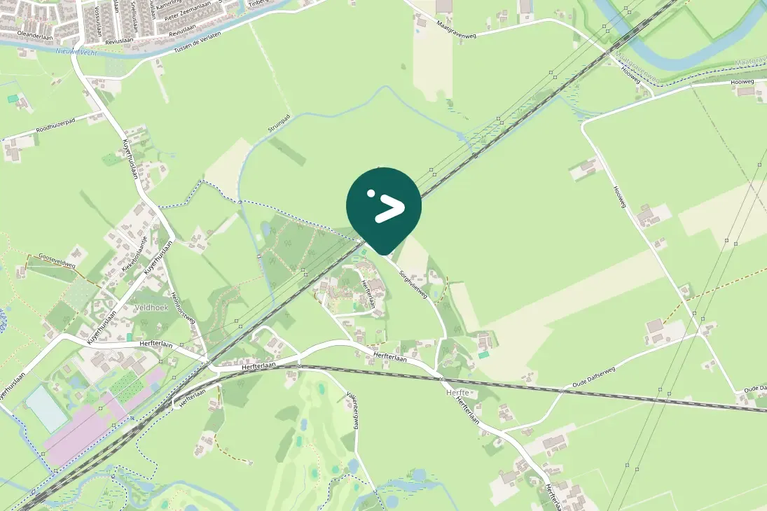 Spotted Eurasian Magpie