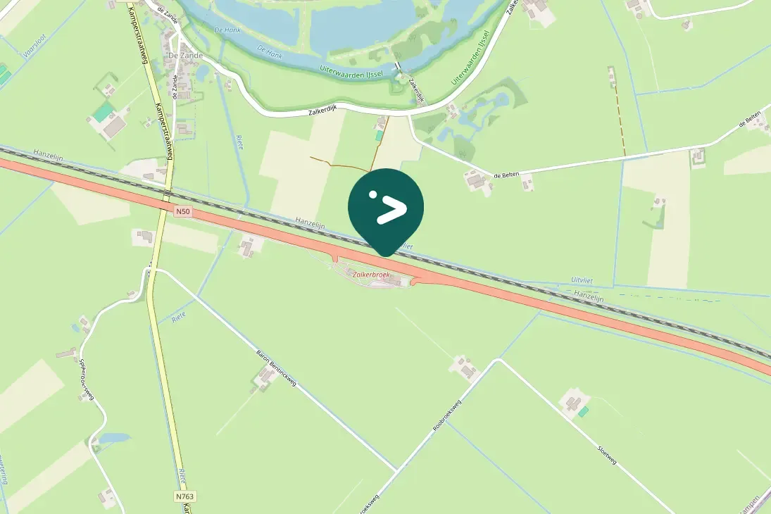 Spotted Graylag Goose