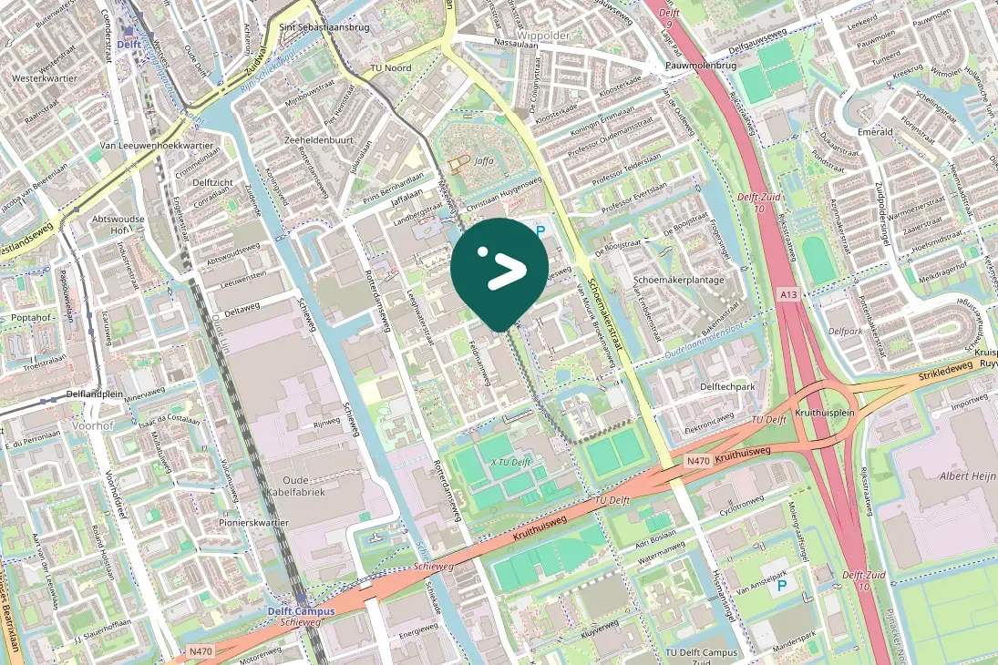 Spotted Eurasian Oystercatcher