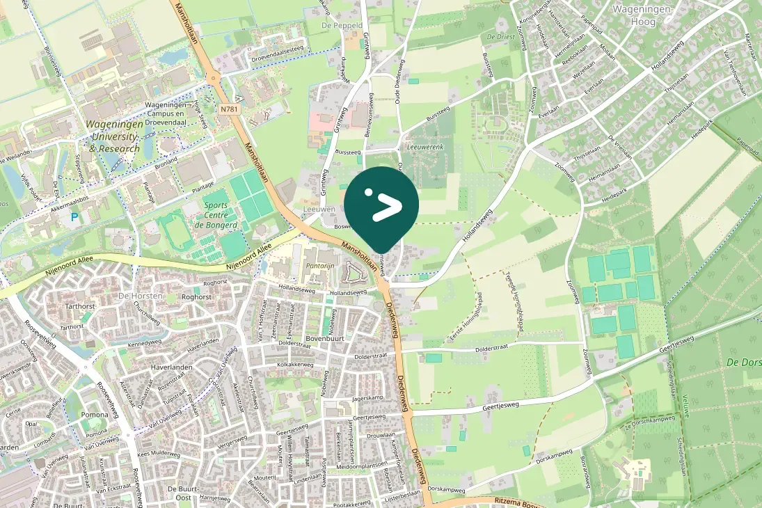 Spotted Eurasian Jackdaw