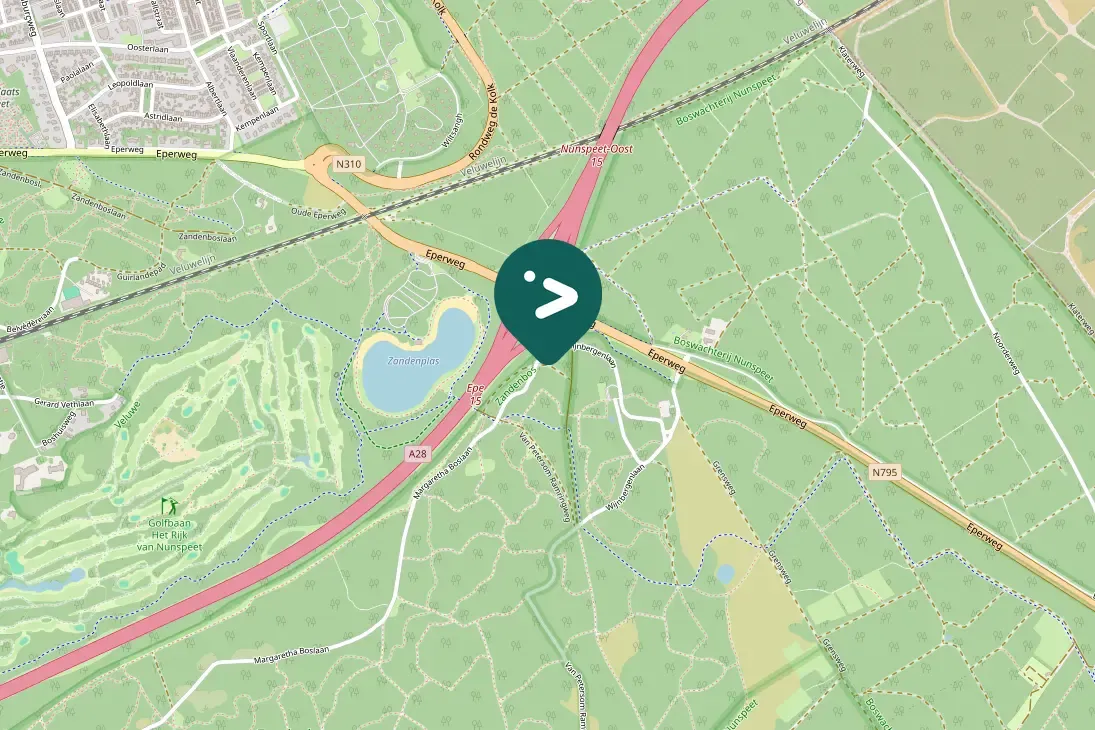 Spotted European Robin