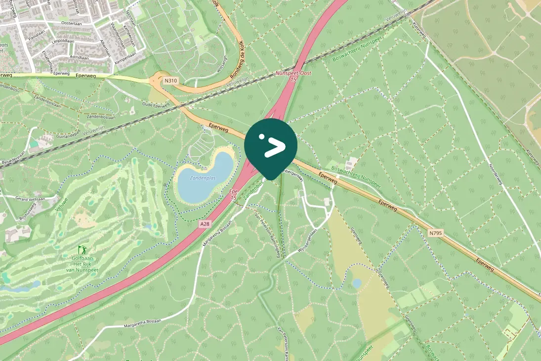 Spotted European Robin