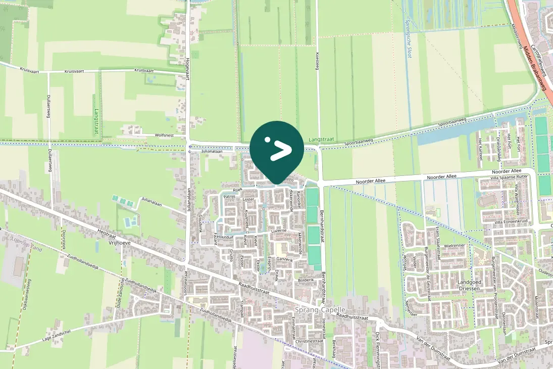 Spotted Carrion Crow