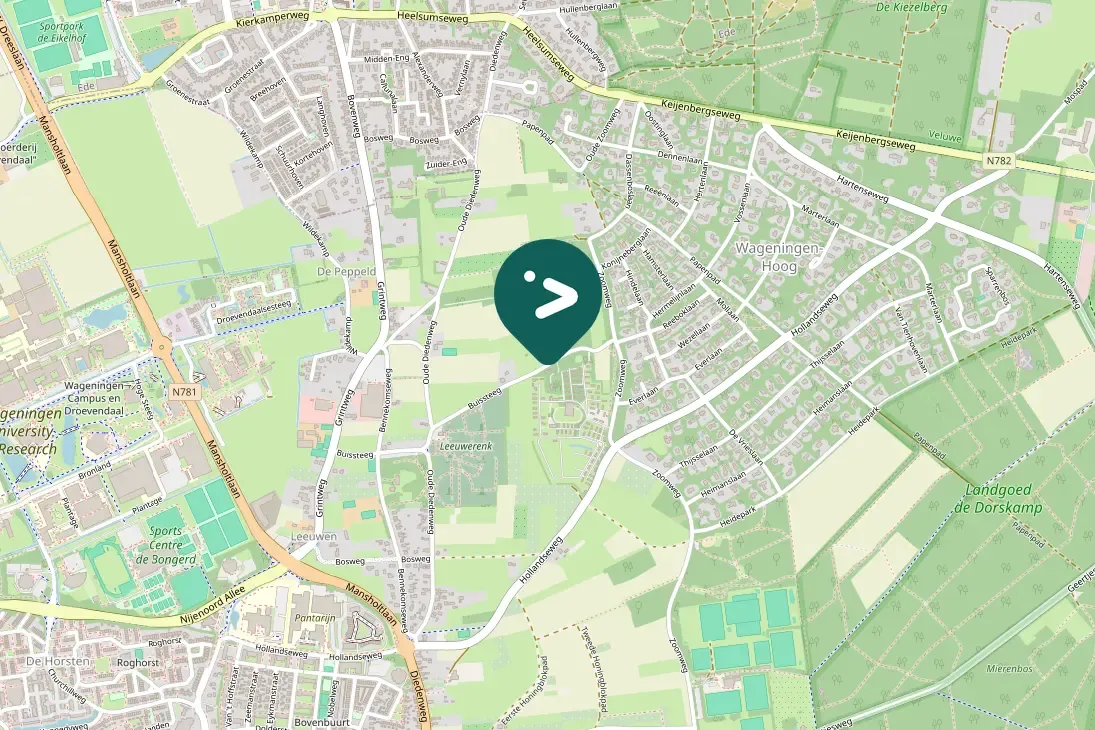 Spotted Great Spotted Woodpecker