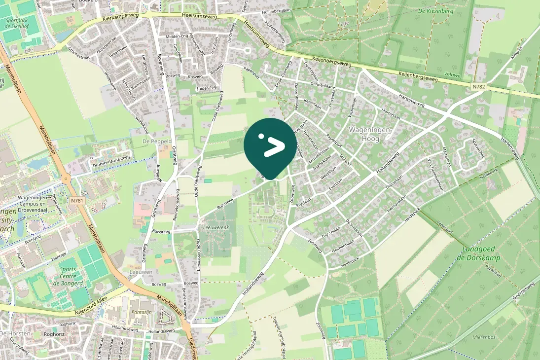 Spotted Common Chiffchaff