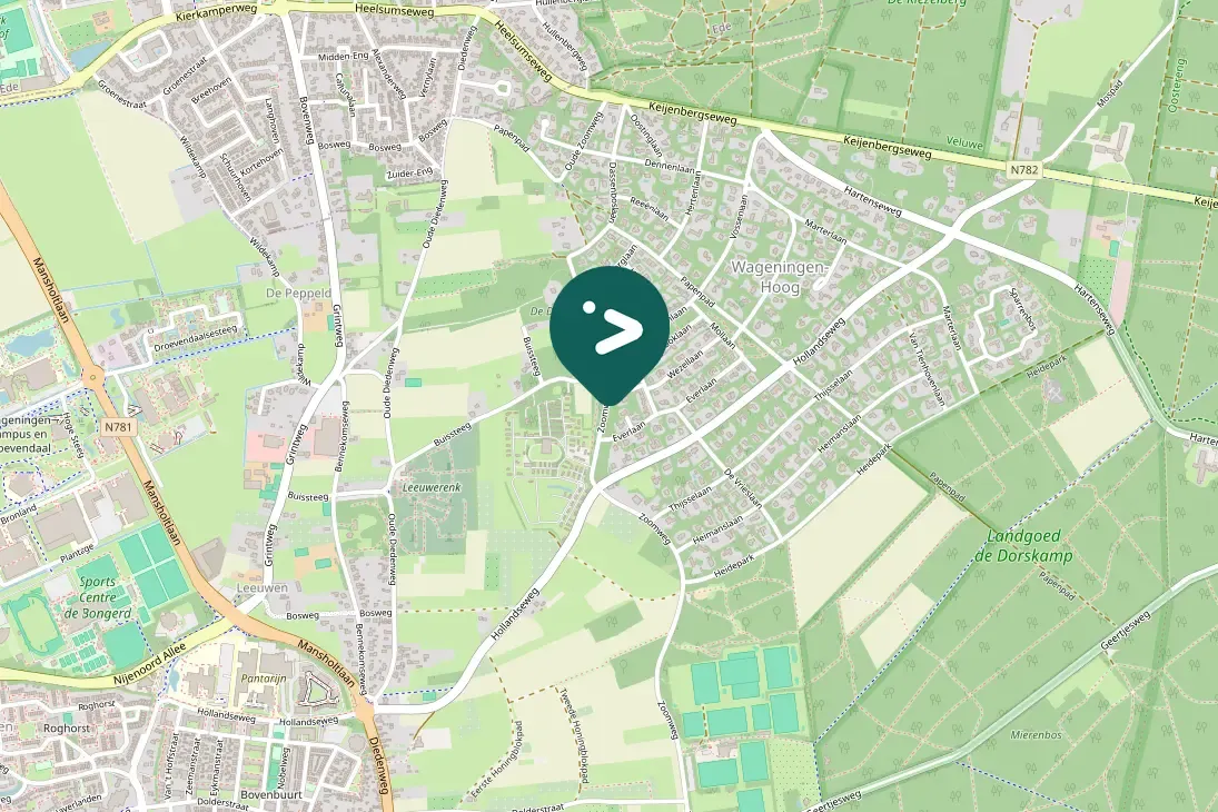 Spotted Eurasian Nuthatch