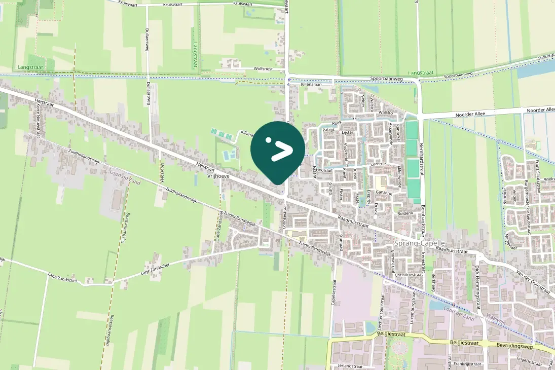 Spotted European Robin