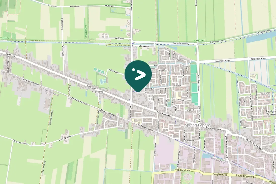 Spotted Eurasian Magpie