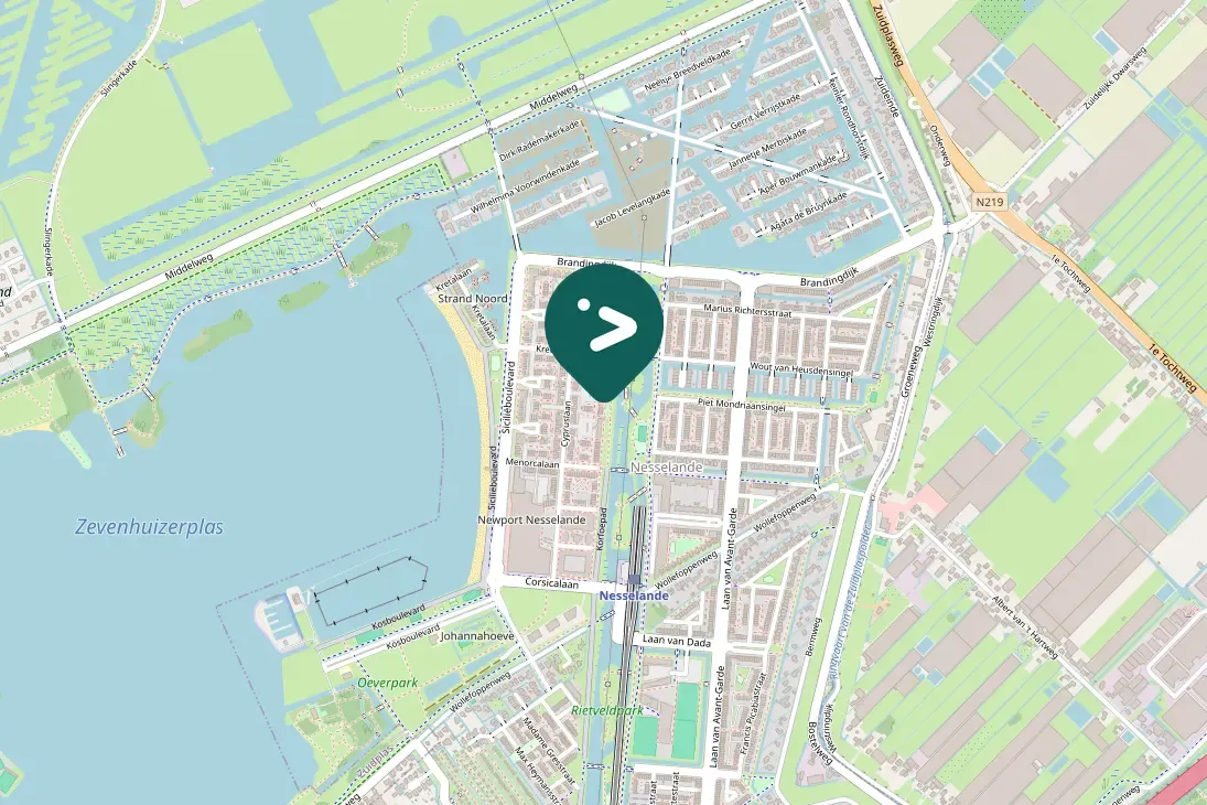 Spotted Common Pochard