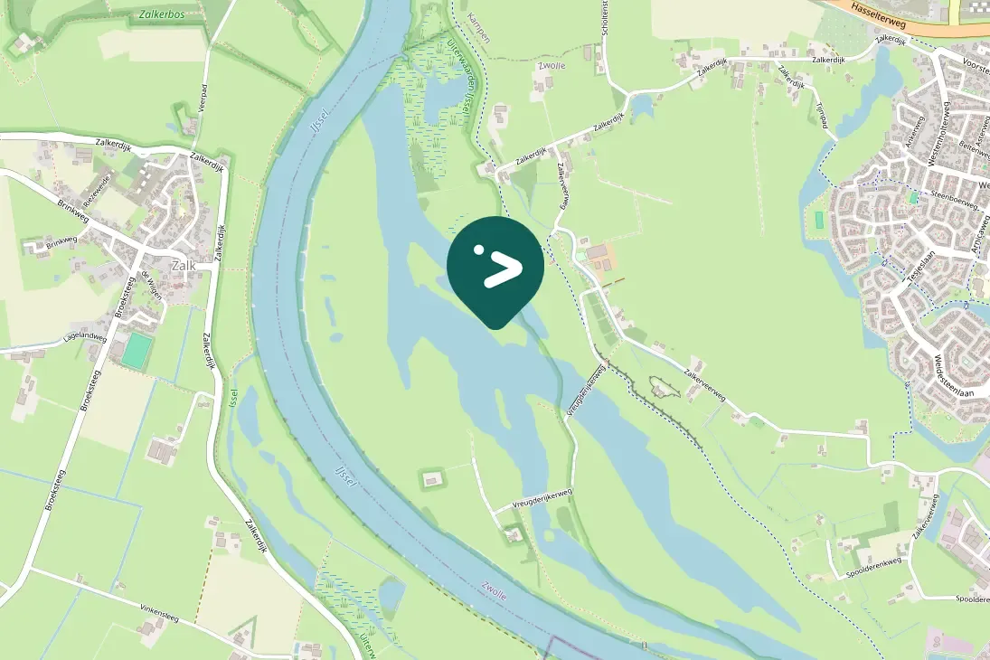 Spotted White-tailed Eagle