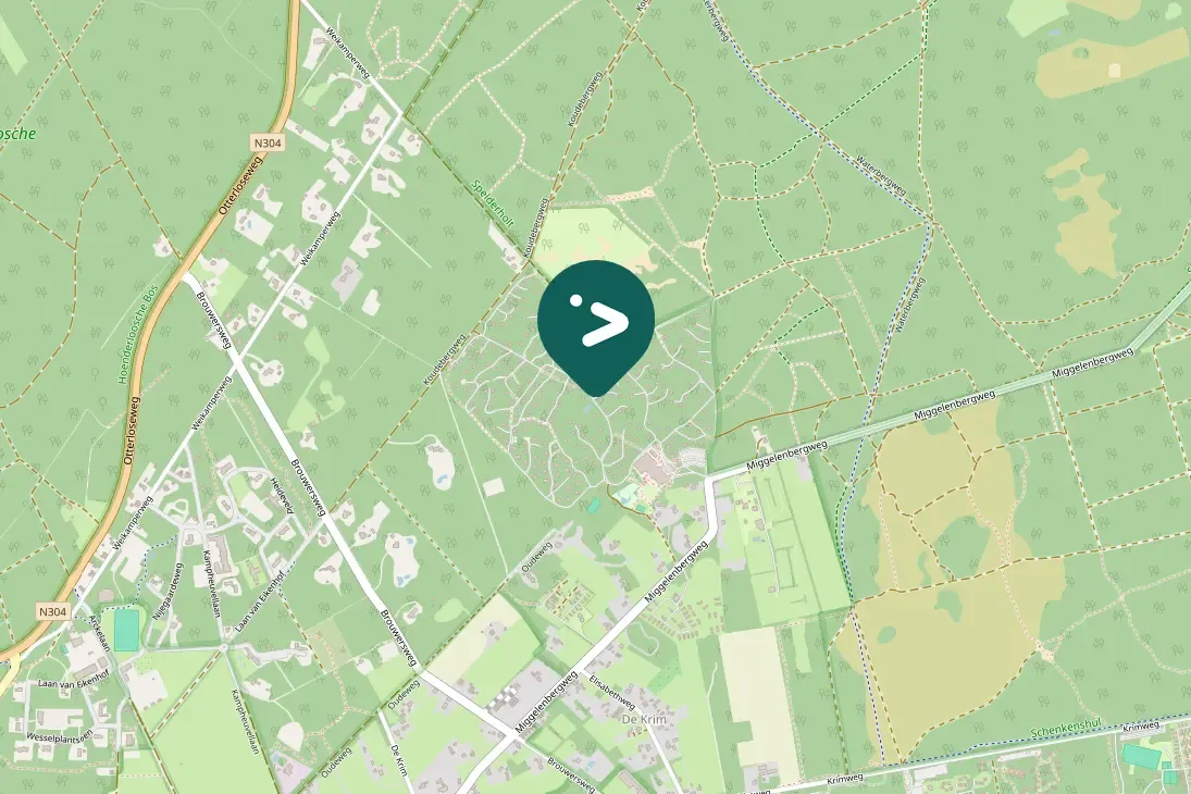 Spotted Black Woodpecker