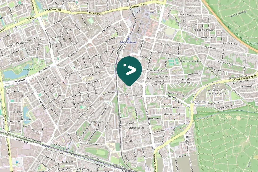 Spotted Eurasian Blue Tit