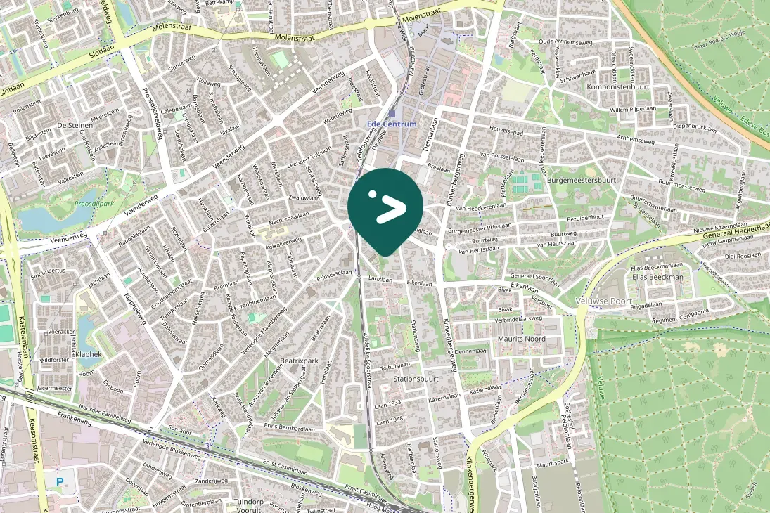 Spotted European Starling