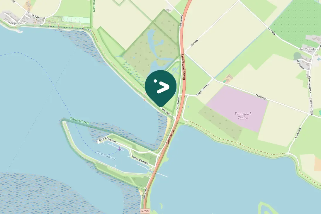 Spotted Barnacle Goose