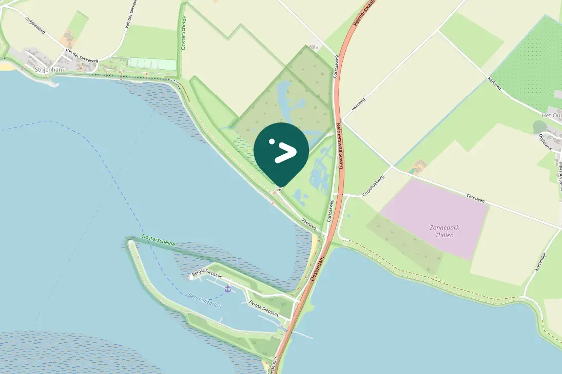 Spotted Eurasian Magpie