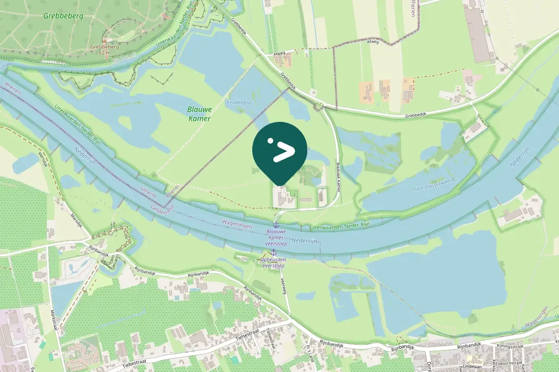 Spotted Great Spotted Woodpecker