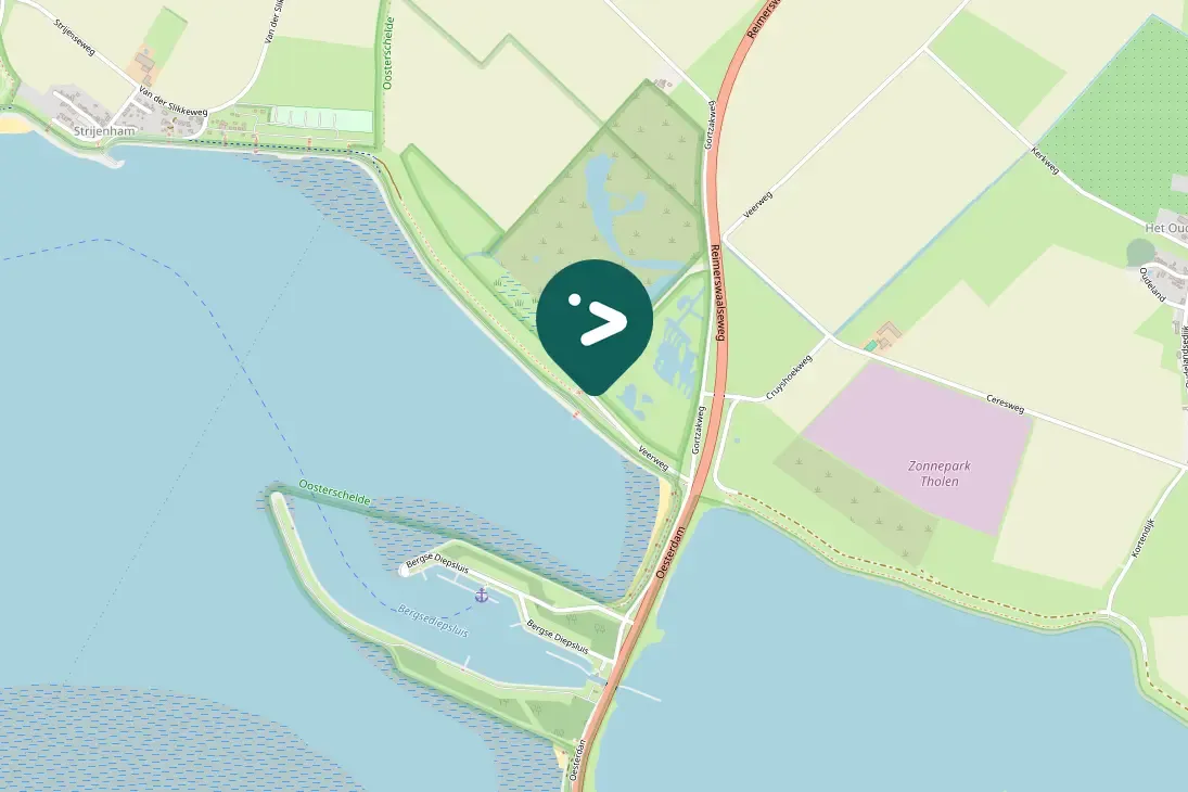 Spotted Northern Shoveler