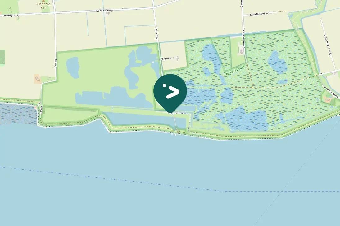 Spotted White Wagtail