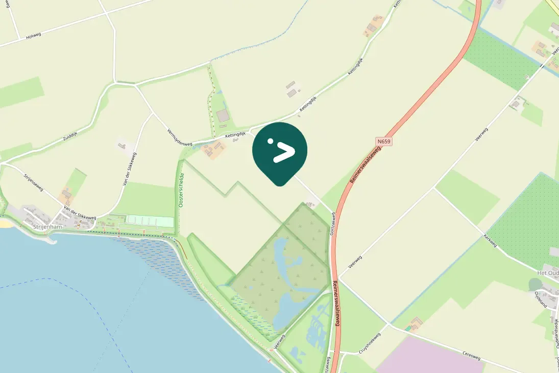 Spotted Eurasian Curlew