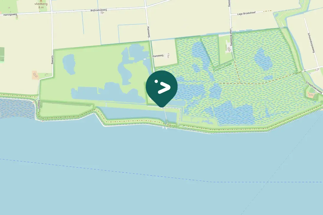 Spotted Eurasian Kestrel