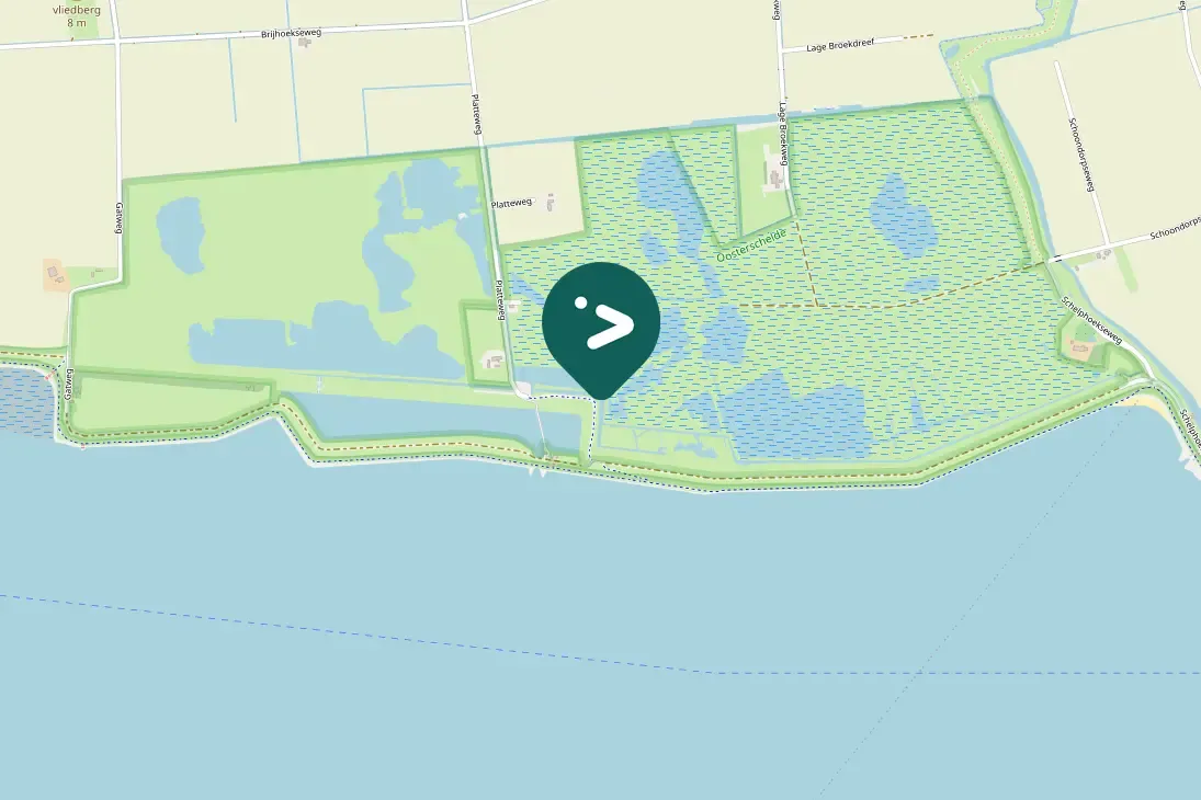 Spotted Eurasian Spoonbill