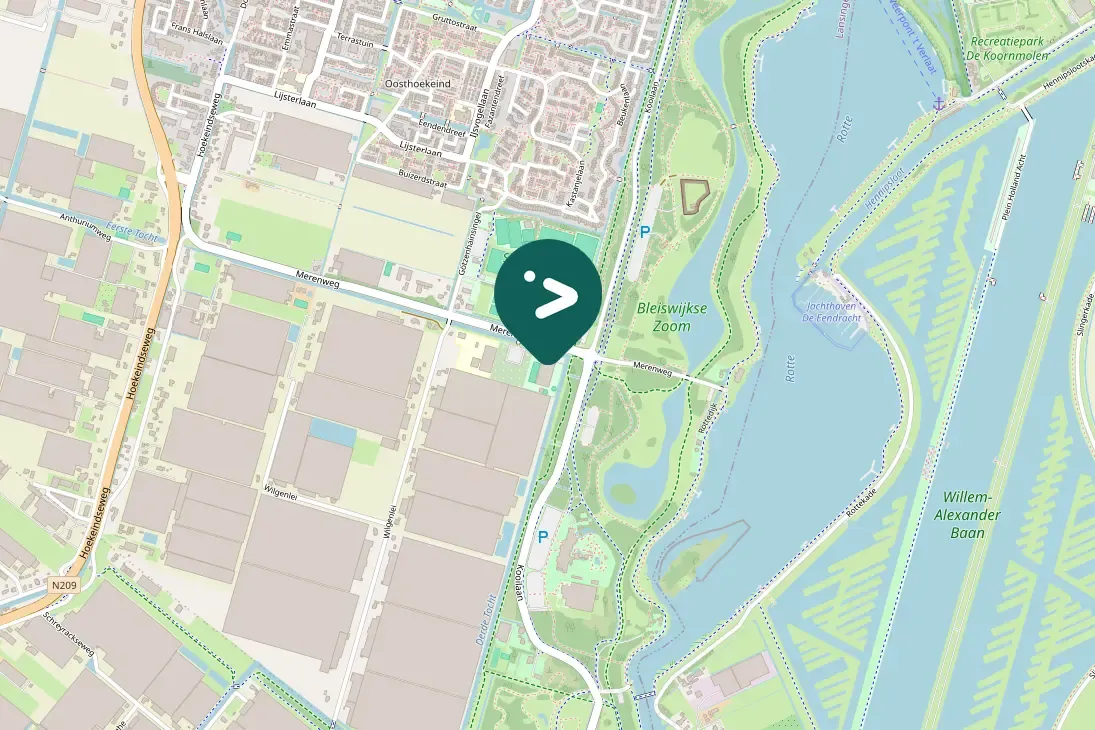 Spotted Barn Swallow