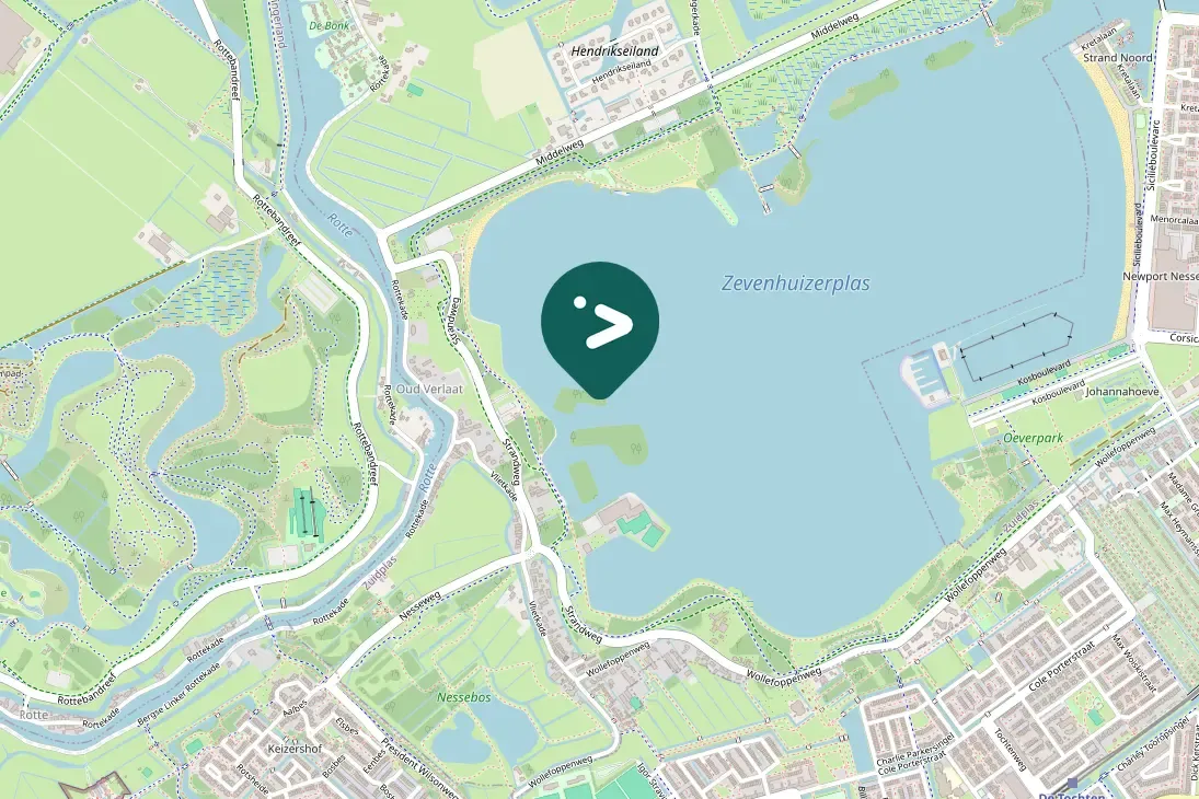 Spotted Eurasian Spoonbill