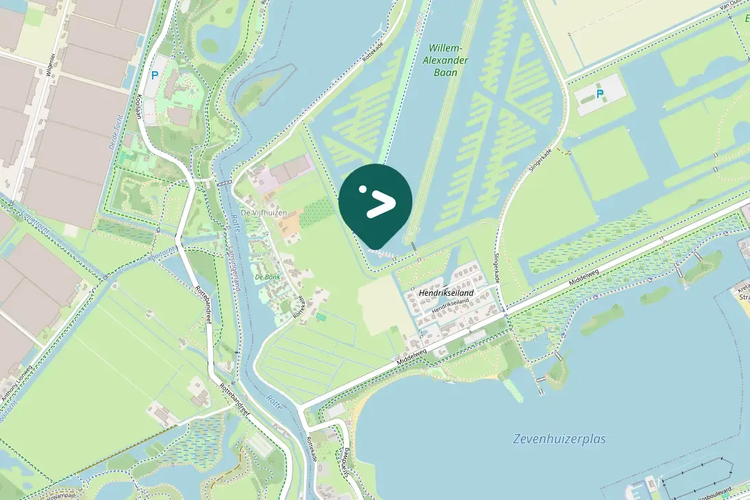 Spotted Common Redshank