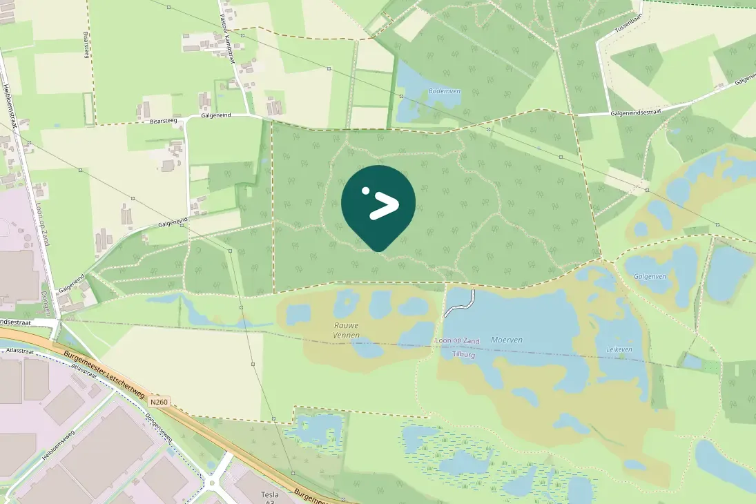 Spotted Little Grebe