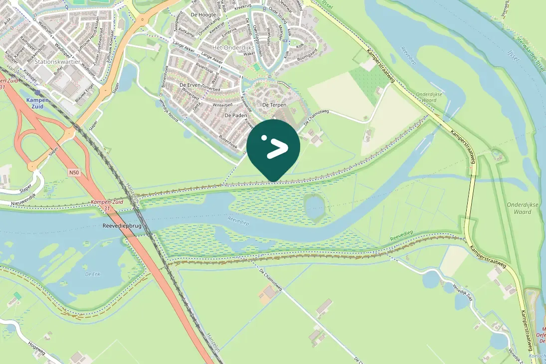 Spotted Great Crested Grebe