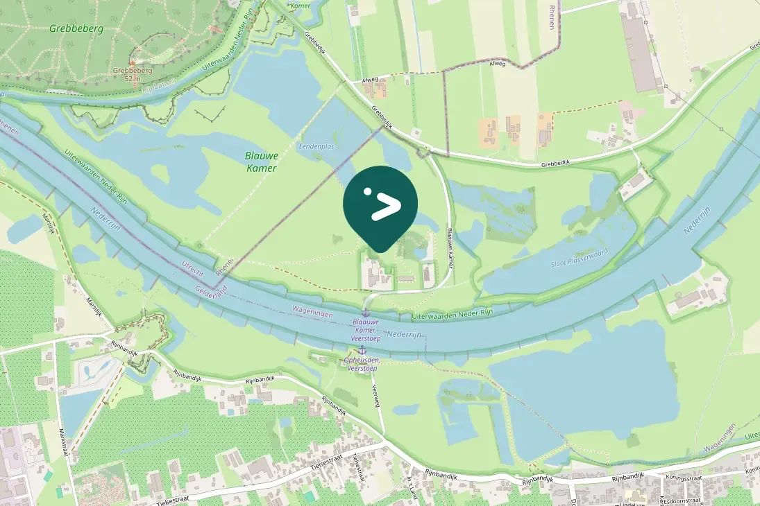 Spotted Willow Warbler