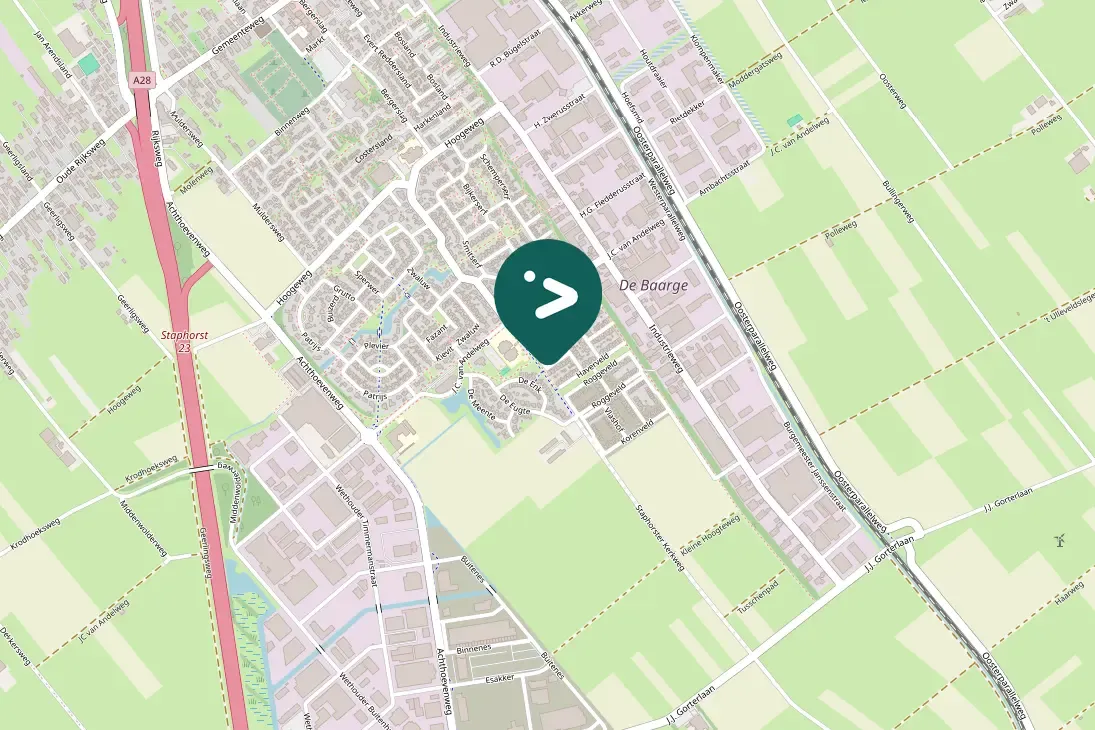 Spotted European Robin